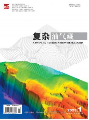 小型油气藏期刊
